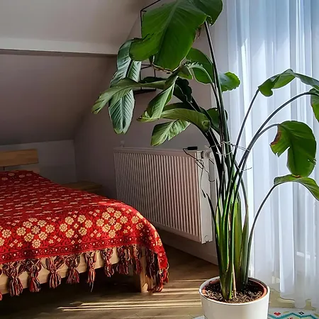 Apartman Zum Wohlfuehlen Sulz am Neckar